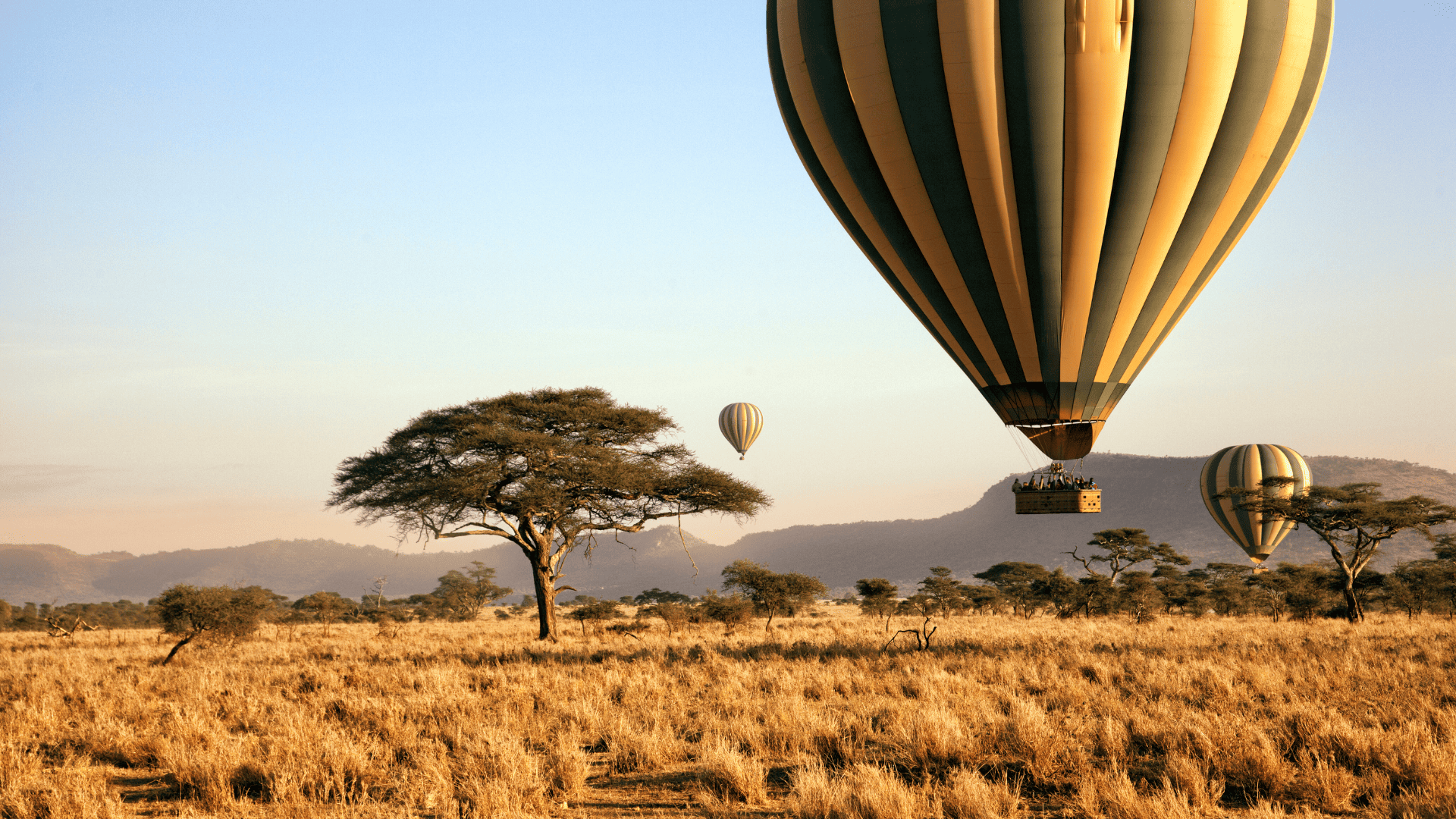 9 Days Sky Safari in Tanzania
